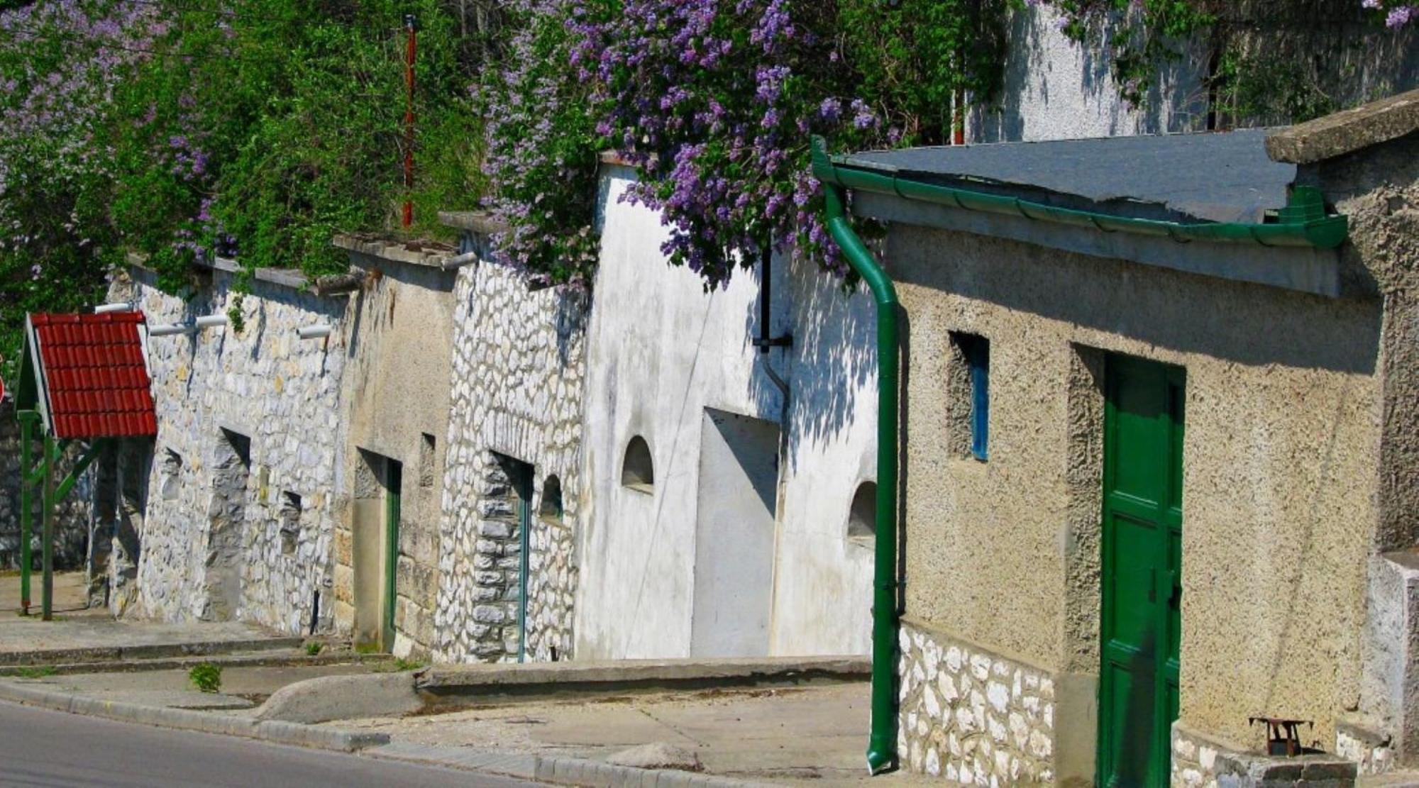 Fenyo Panzio Bed and Breakfast Mezőkövesd Εξωτερικό φωτογραφία